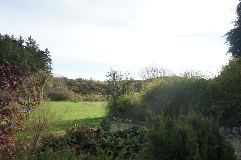 Lyng Dal Hotel Og Restaurant Ry Exterior foto